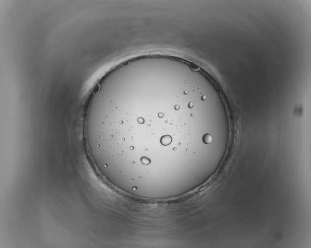 X0000113081504200909110952