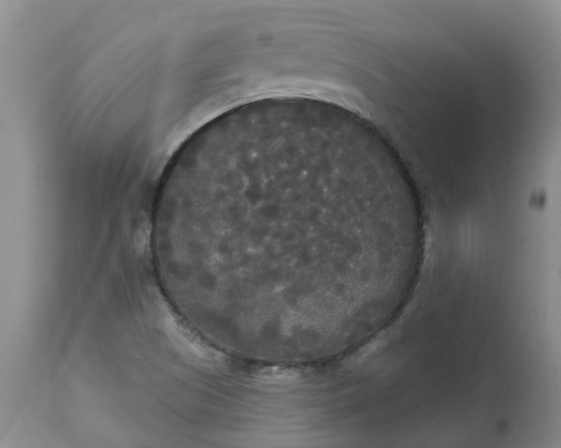 X0000113081505200909110952