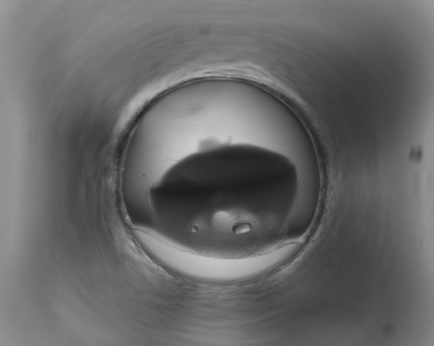 X0000113081506200909110952