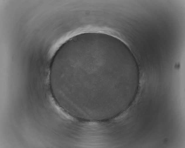 X0000113081507200909110952