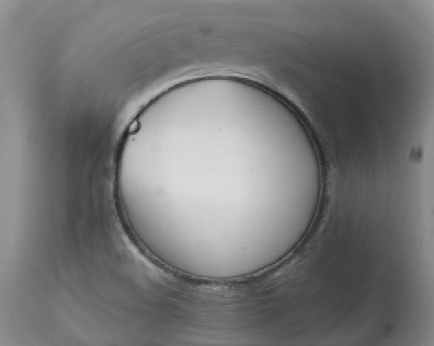 X0000113081508200909110952