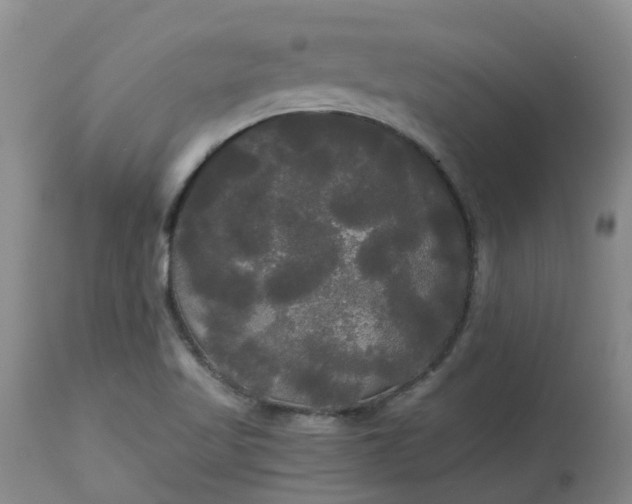 X0000113081509200909110952