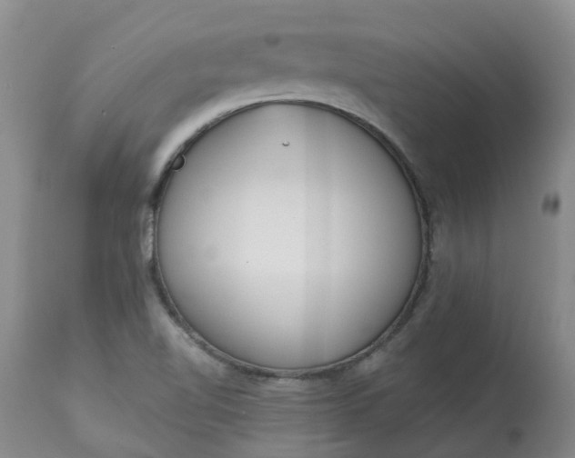 X0000113081510200909110952