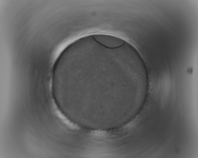 X0000113081511200909110952