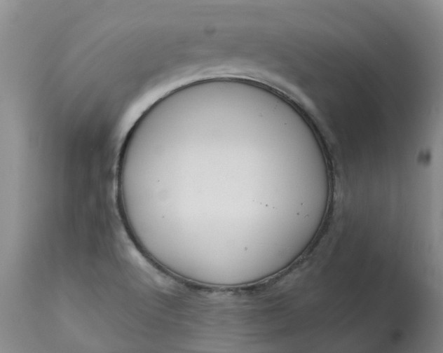 X0000113081512200909110952