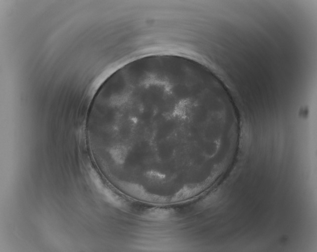 X0000113081513200909110952