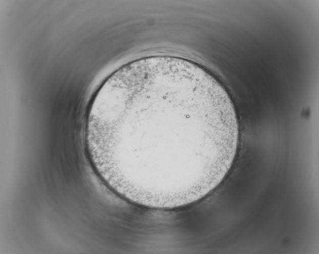 X0000113081514200909110952