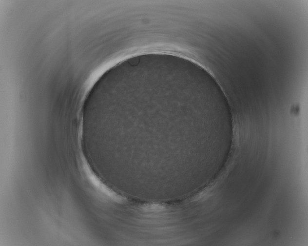 X0000113081515200909110952