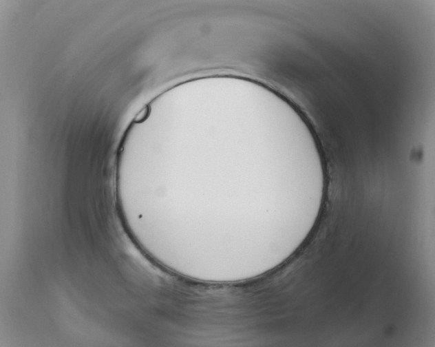 X0000113081516200909110952