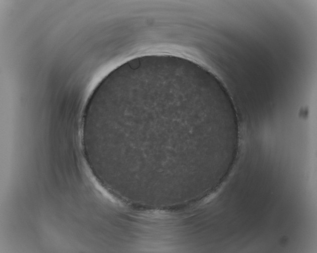 X0000113081517200909110952