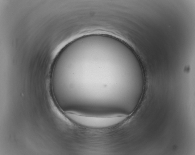 X0000113081518200909110952