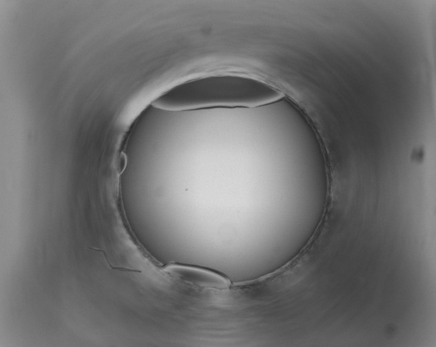 X0000113081520200909110952