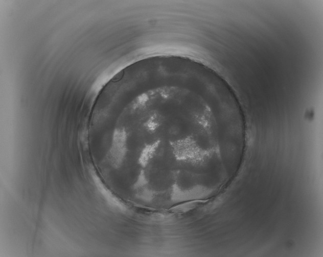 X0000113081521200909110952