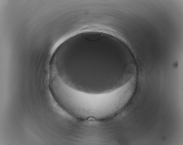 X0000113081522200909110952