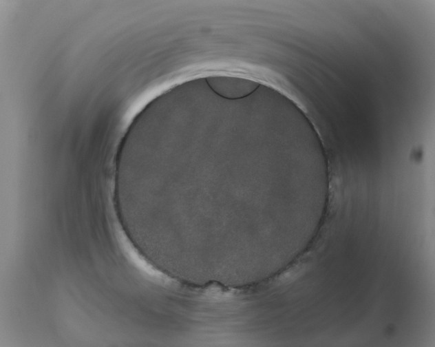 X0000113081523200909110952