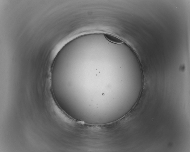 X0000113081524200909110952