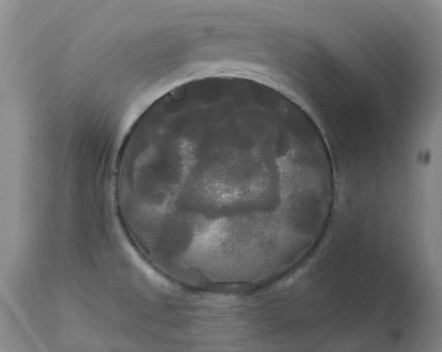 X0000113081525200909110952