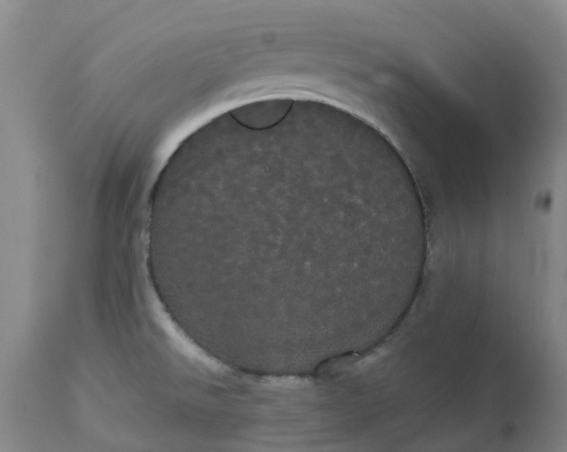 X0000113081526200909110952