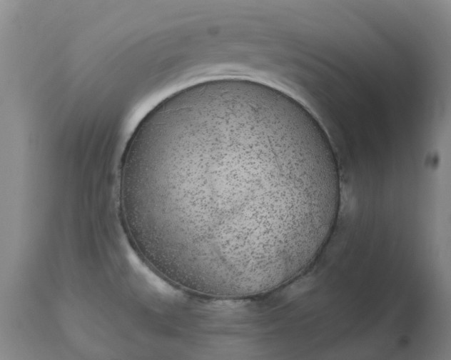 X0000113081527200909110952