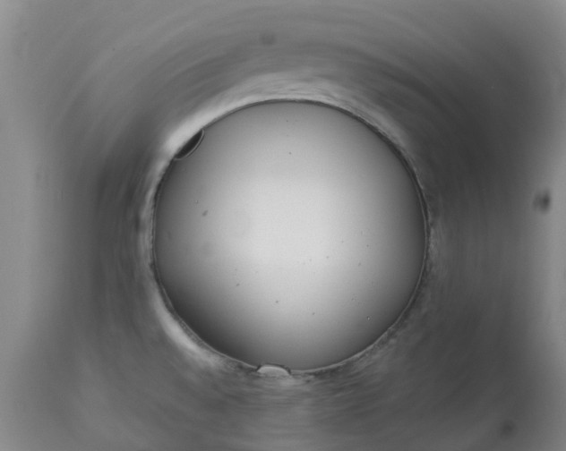 X0000113081528200909110952