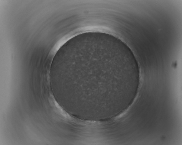 X0000113081529200909110952