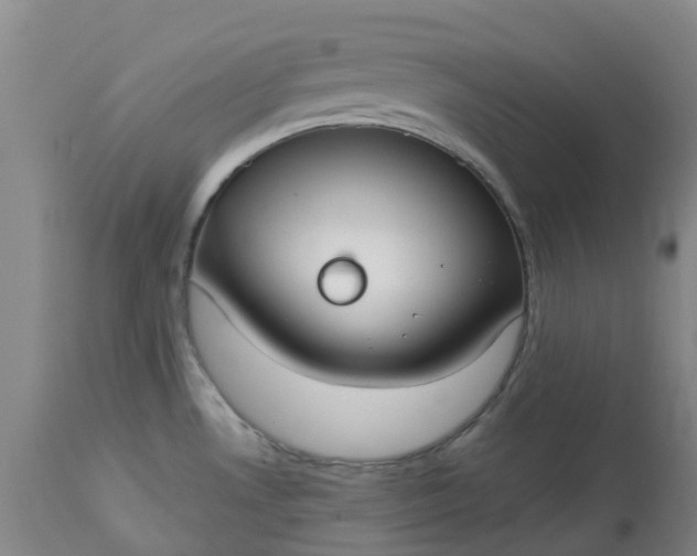 X0000113081530200909110952