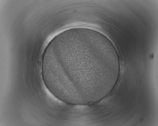 X0000113081531200909110952