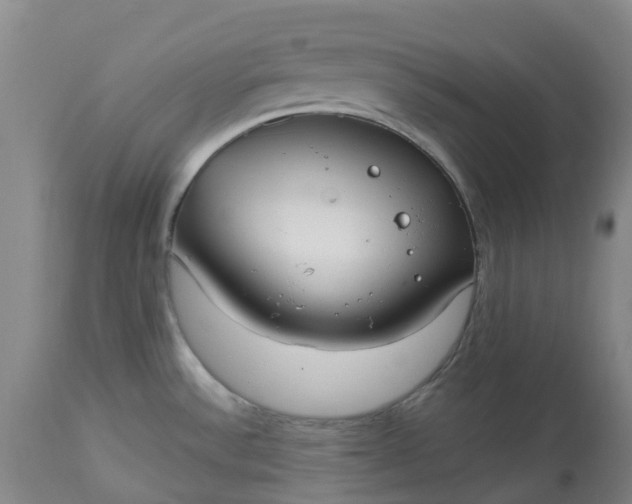 X0000113081532200909110952