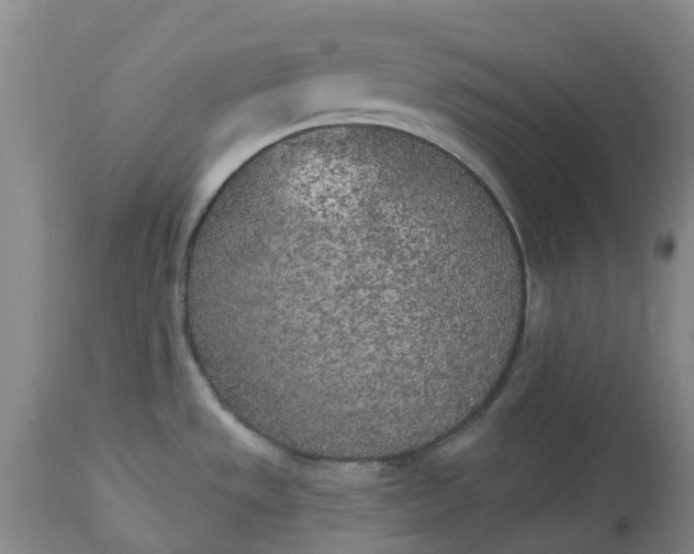 X0000113081533200909110952