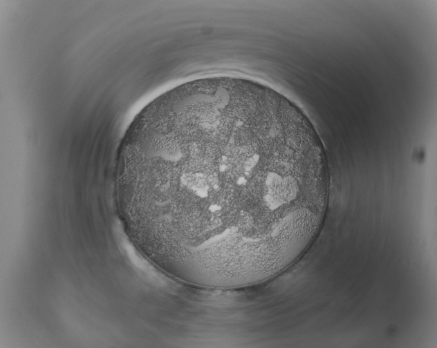 X0000113081534200909110952