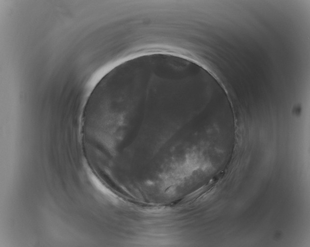 X0000113081535200909110952