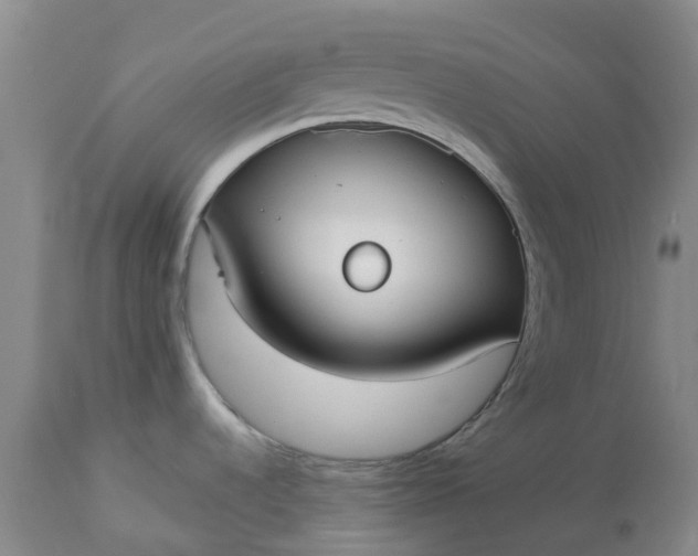 X0000113081536200909110952