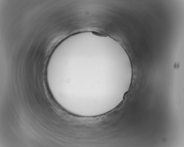 X0000113080001200909182101