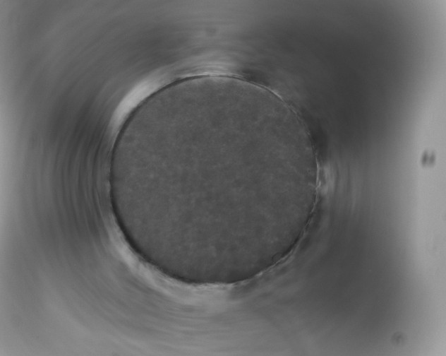 X0000113080004200909182101