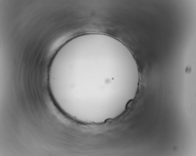 X0000113080005200909182101