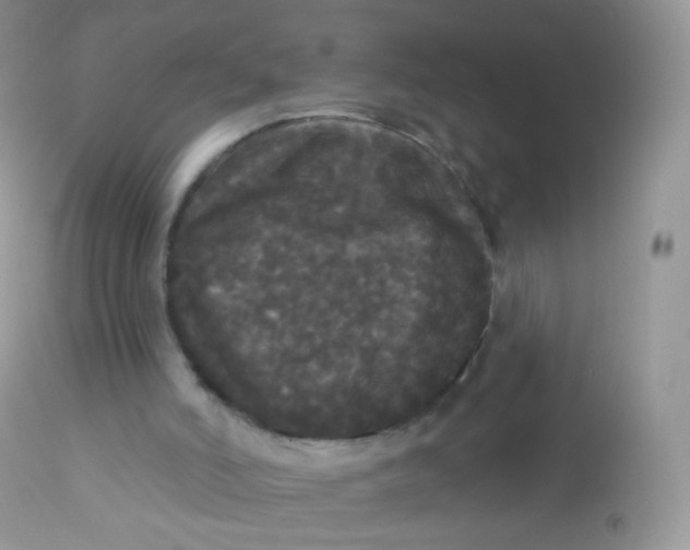 X0000113080006200909182101