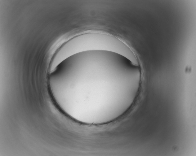 X0000113080007200909182101