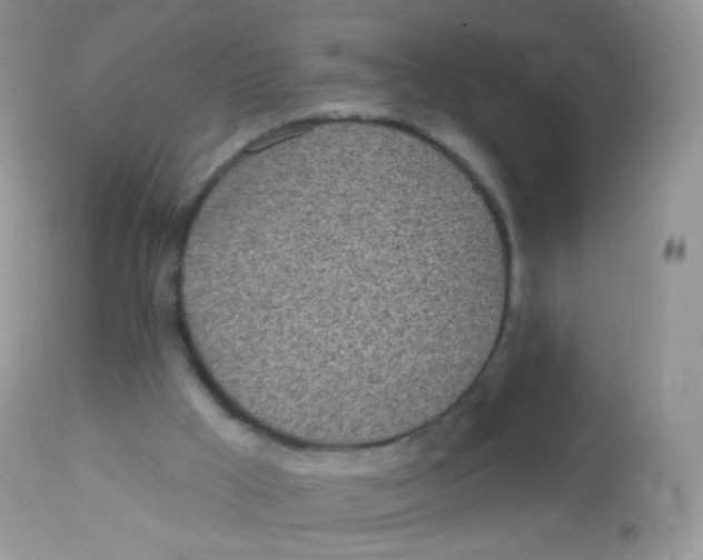 X0000113080009200909182101