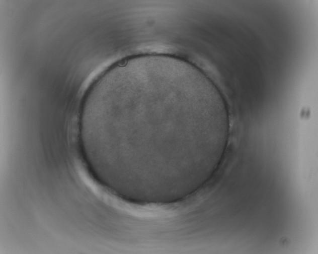 X0000113080012200909182101