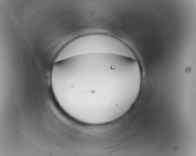 X0000113080013200909182101