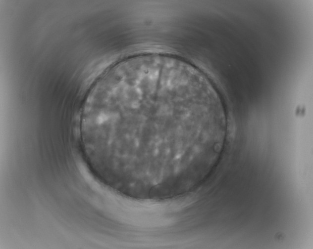 X0000113080014200909182101