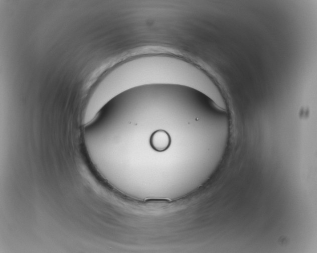 X0000113080015200909182101