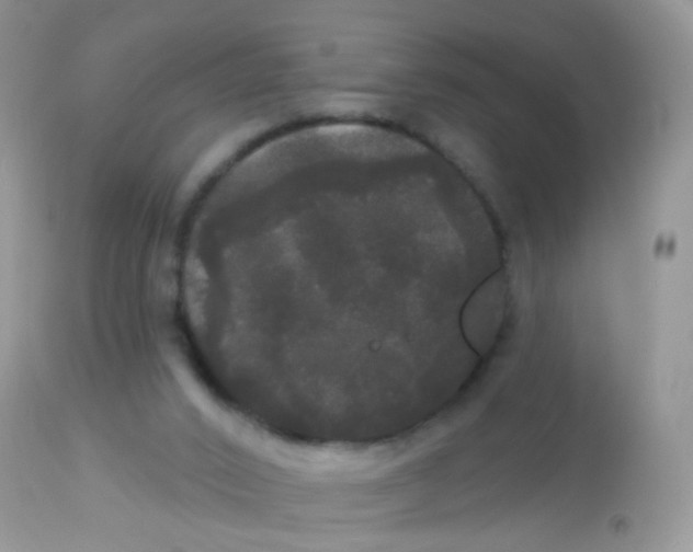 X0000113080016200909182101