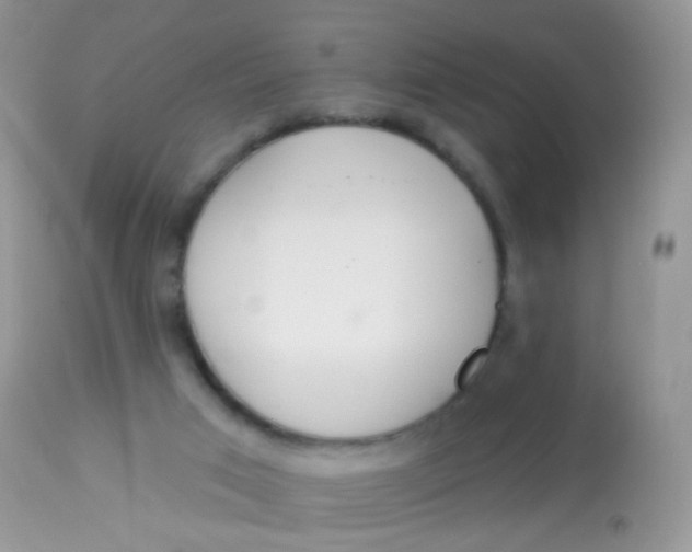 X0000113080017200909182100