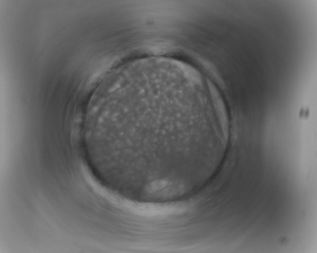 X0000113080018200909182100