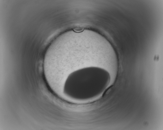 X0000113080019200909182100