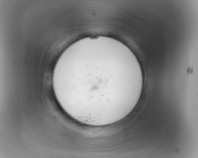 X0000113080021200909182100