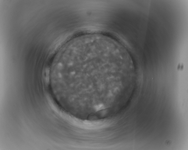 X0000113080022200909182100