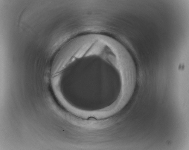 X0000113080023200909182100