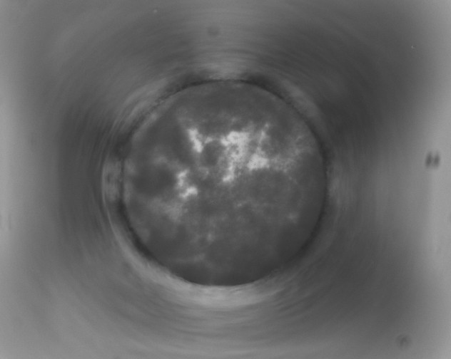 X0000113080026200909182100